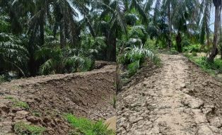 https://gardatipikornews.com.adhyaksanews.com/warga-kampung-pabuaran-rw-01-lakukan-baksos-secara-mobile