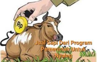 https://gardatipikornews.com.adhyaksanews.com/atap-sekolah-siswa-smpn-1-negeri-sagaranten-kecamatan-sagaranten-belajar-di-perpustakaan