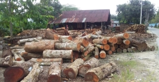 https://gardatipikornews.com.adhyaksanews.com/personil-koramil-0621-22-parung-polsek-dan-ppk-monitor-pengembalian-logistik-kotak-suara-pemilu-2024-ppk-kecamatan-ciseeng-ke-gudang-kpud-kabupaten-bogor