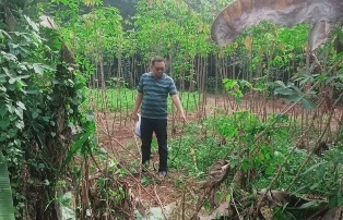 https://gardatipikornews.com.adhyaksanews.com/pimpin-rakernas-ikaptk-akmal-malik-tekankan-penguatan-kolaborasi-alumni-menuju-indonesia-emas-2045
