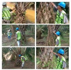 https://gardatipikornews.com.adhyaksanews.com/ketua-dpd-perkumpulan-pemimpin-redaksi-independen-ppri-bekasi-raya-soroti-urugan-tanah-project-pembangunan-tol-japek-2-di-duga-tidak-sesuai-spesifikasi-pt-adhi-aoset-tutup-mata