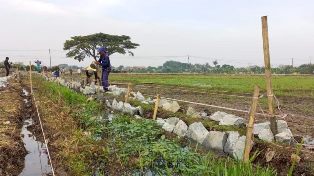 https://gardatipikornews.com.adhyaksanews.com/shalat-idul-adha-1445-h-bupati-marwan-tekankan-pentingnya-kepedulian-terhadap-sesama
