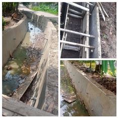 https://gardatipikornews.com.adhyaksanews.com/warga-cimande-tarikolot-antusias-gotong-royong-bersihkan-puin-puin-rumah-roboh