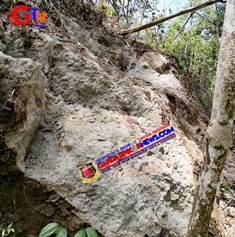 https://gardatipikornews.com.adhyaksanews.com/kapolres-bogor-silahturahmi-kamtibmas-ke-tokoh-agama-wilayah-kabupaten-bogor-dalam-menjaga-kondusifitas-pelaksanaan-pilkada-mantap-praja-2024
