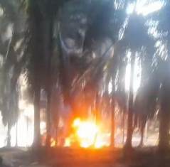 https://gardatipikornews.com.adhyaksanews.com/pemkab-padang-pariaman-kembali-memperkenalkan-perlombaan-pacuan-kuda