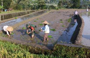 https://gardatipikornews.com.adhyaksanews.com/peduli-kesehatan-masyarakat-koramil-kepohbaru-bojonegoro-gelar-bakti-sosial-donor-darah