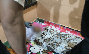 https://gardatipikornews.com.adhyaksanews.com/quick-respon-polda-ntb-tangani-cepat-kasus-wna-meninggal-dunia-di-gili-air