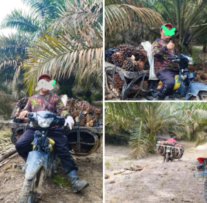 https://gardatipikornews.com.adhyaksanews.com/ketua-lsm-maung-provinsi-riau-apresiasi-lanal-dumai-dalam-pencegahan-peredaran-narkoba