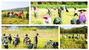 https://gardatipikornews.com.adhyaksanews.com/satgas-tmmd-ke-125-buktikan-bahwa-tni-hadir-tak-hanya-menjaga-akan-tetapi-membangun