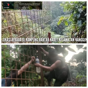 https://gardatipikornews.com.adhyaksanews.com/suara-independen-dari-cipatujah-warga-bersatu-tagih-janji-pemerintah-desa-soal-dana-desa