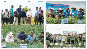 https://gardatipikornews.com.adhyaksanews.com/polda-sumbar-gelar-operasi-keselamatan-singgalang-2026