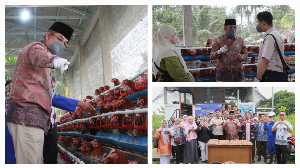 https://gardatipikornews.com.adhyaksanews.com/kanim-kelas-i-non-tpi-bekasi-hadirkan-layanan-data-keimigrasian-hadir-secara-digital-permohonan-data-kini-lebih-mudah-dan-transparan