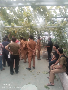 https://gardatipikornews.com.adhyaksanews.com/delegasi-pabuaran-optimis-raih-kejuruan-tingkat-kabupaten-sampai-provinsi-di-kopetensi-o2sn-fls2n-dan-pai-tingkat-kabupaten-sukabumi-2026