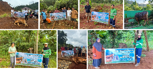 https://gardatipikornews.com.adhyaksanews.com/sambut-hut-bhayangkara-ke80-ditpolairud-polda-jambi-dan-polres-tanjab-barat-hijaukan-pesisir-dengan-tanam-mangrove