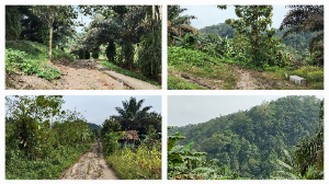 https://gardatipikornews.com.adhyaksanews.com/imb-terbitan-pemkot-denpasar-jangan-jadi-stempel-pembenar-pelanggar-sempadan-sungai-gallery-kohinoor