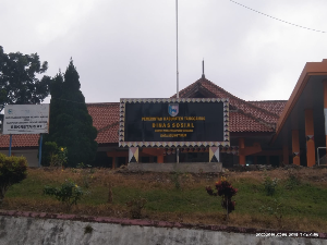 https://gardatipikornews.com.adhyaksanews.com/polsek-selaparang-patroli-rinjani-presisi-dini-hari-perkuat-pengamanan-di-titik-rawan-kamtibmas