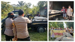 https://gardatipikornews.com.adhyaksanews.com/kapolresta-mamataram-kenaikan-pangkat-dan-pelepasan-purna-tugas-penghargaan-atas-dedikasi-dan-pengabdian